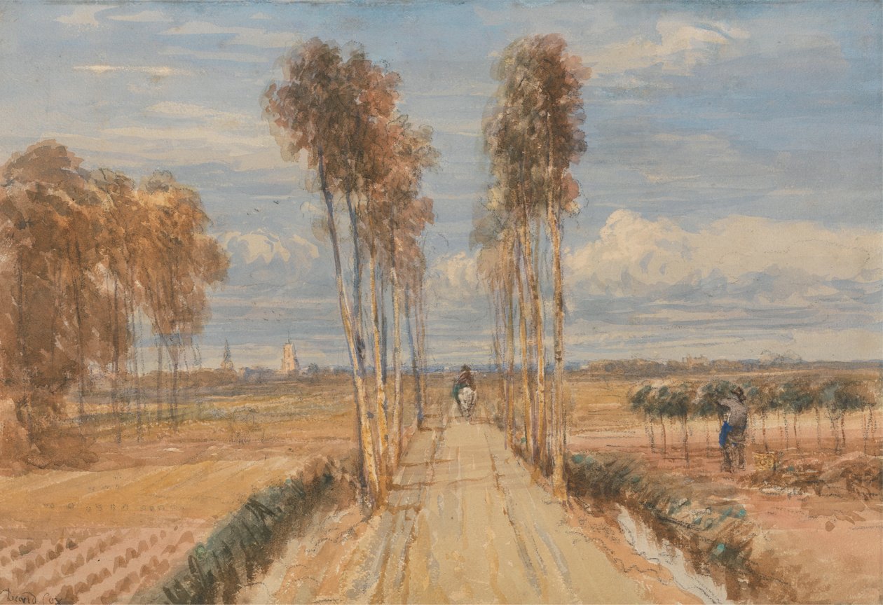 A Avenida do Choupo, depois de Hobbema de David Cox