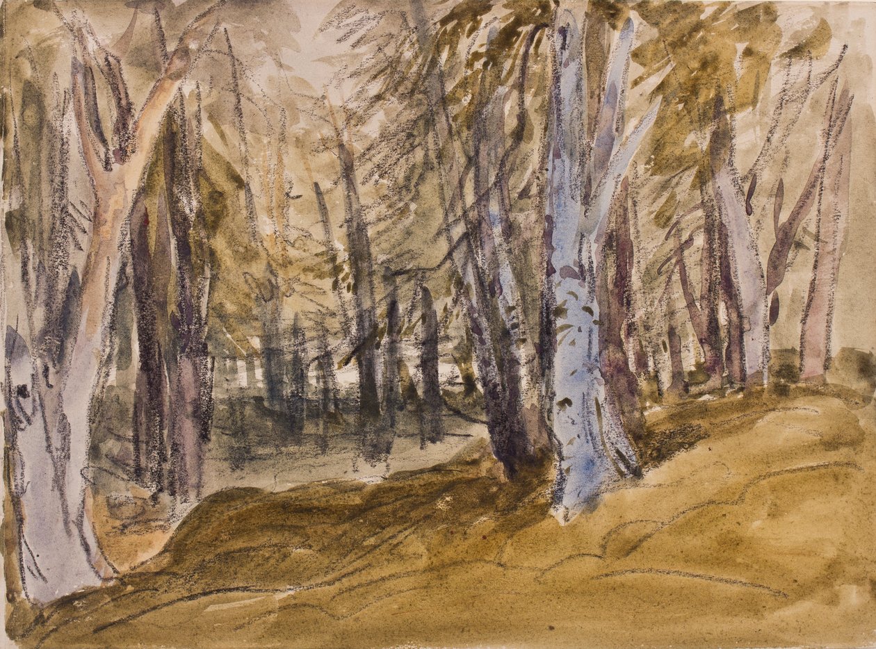 Árvores na Box Hill (carvão e wc no papel) de David Cox