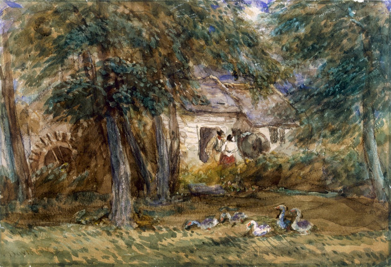 Azenha de David Cox