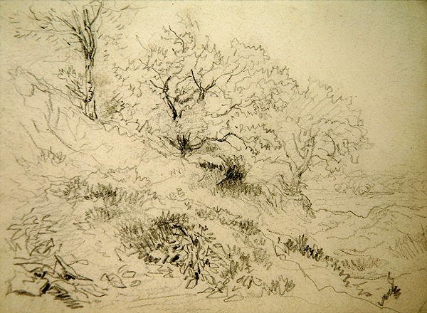 Welsh Landscape (giz sobre papel) de David Cox