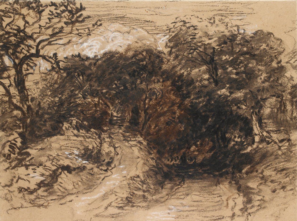 Uma pista oca perto de Harborne, Derbyshire, século XIX de David Cox the elder