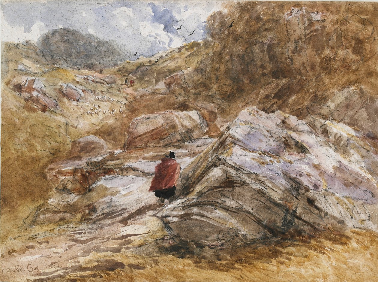 Mountain Pass em Bettws-y-Coed, 1851 de David Cox the elder