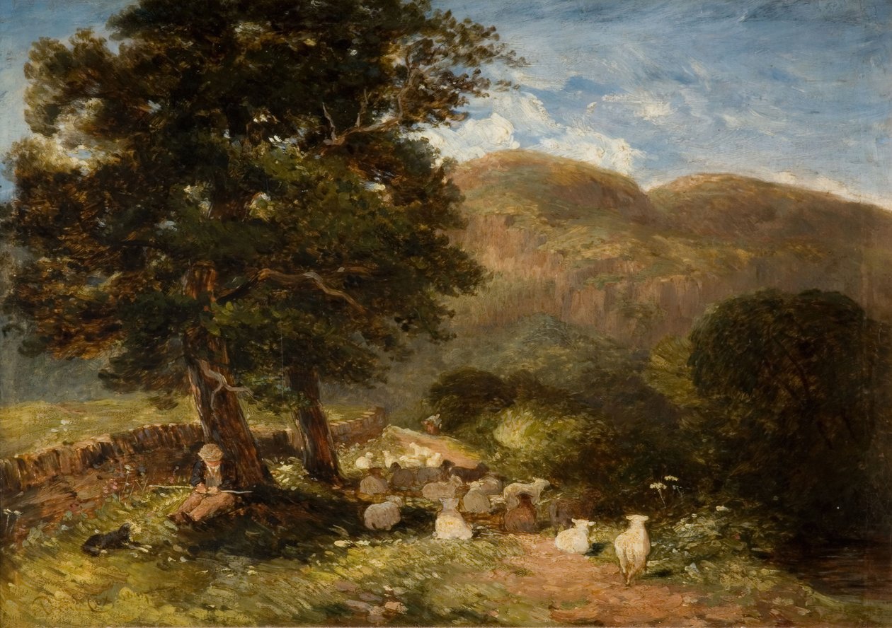Cuidando de ovelhas, Bettws-y-Coed, 1849. de David Cox the elder