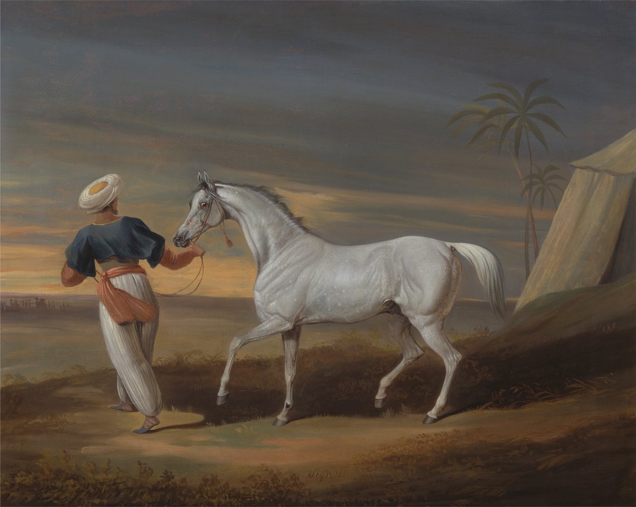Sinal, um árabe cinzento, com um noivo no deserto de David Dalby of York