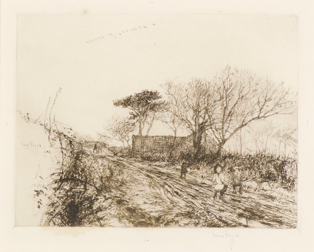 Os Gansos Selvagens de David Foggie