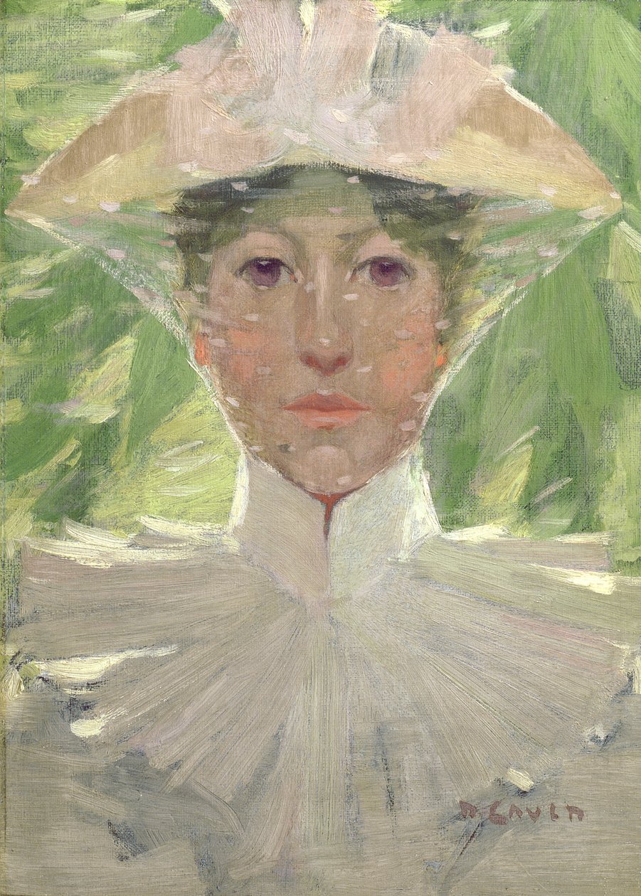 O novo capô, c.1893-94 de David Gauld
