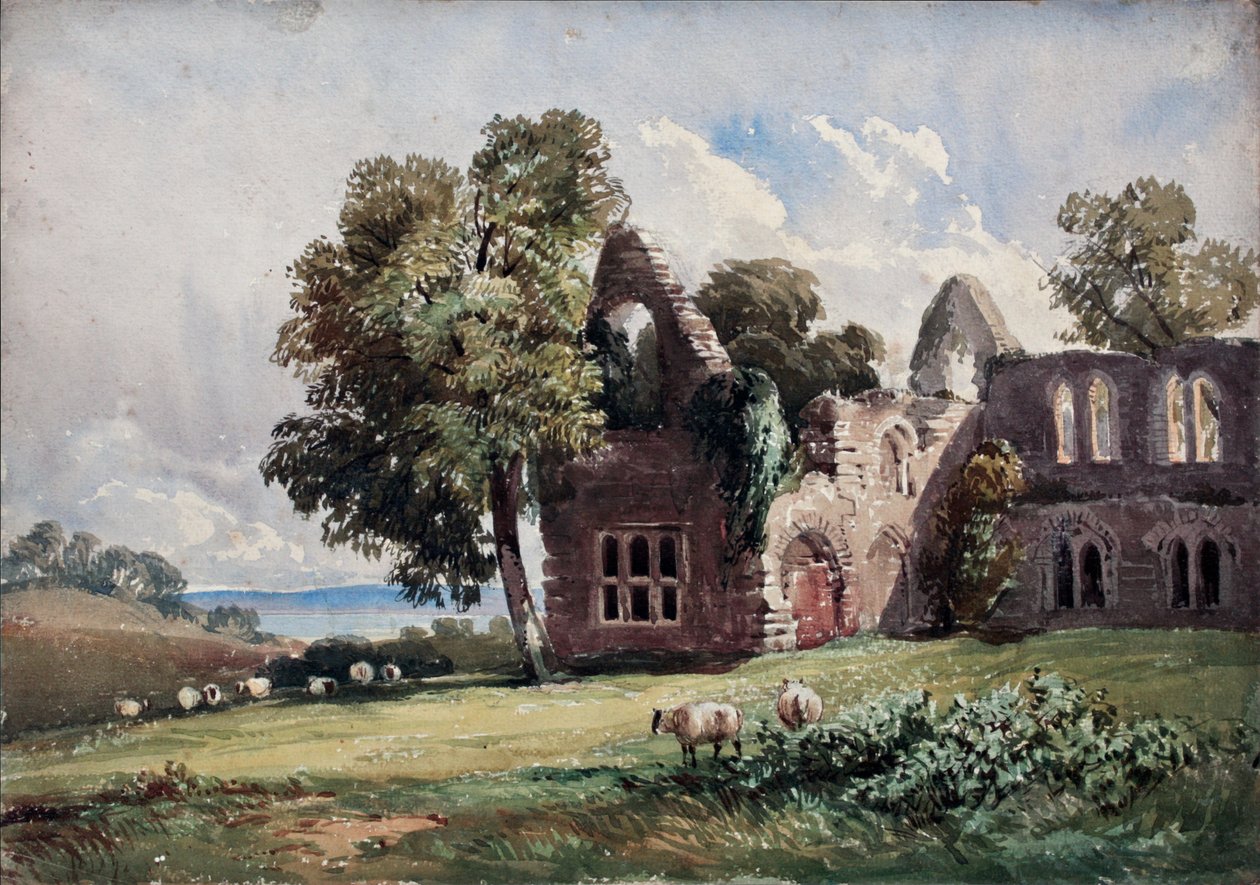 Abadia em ruínas e ovelhas de David Hall McKewan