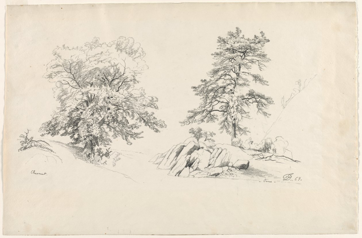 Castanha e pinho, 1869. de David Johnson