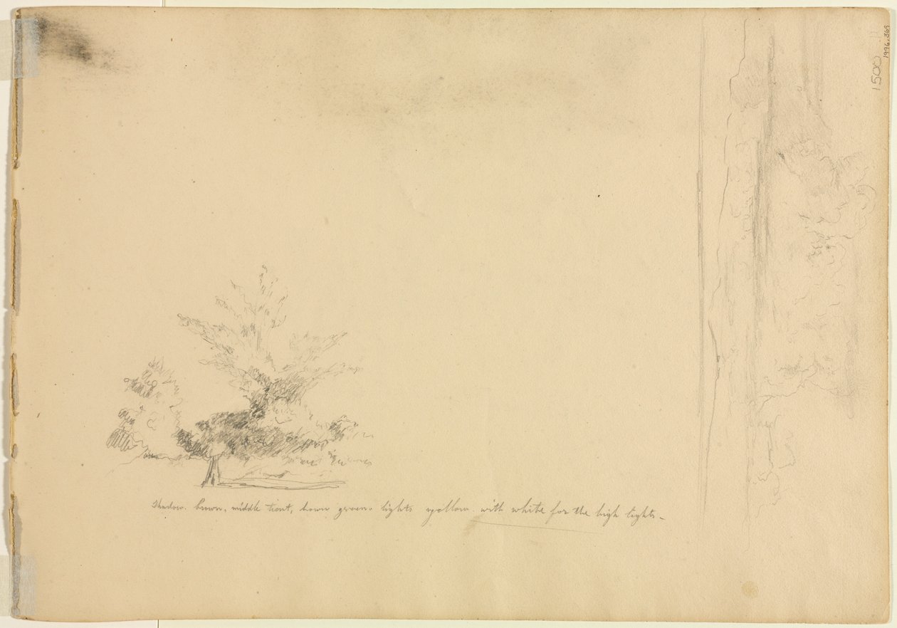 Estudos da Paisagem e das Árvores verso, c. 1851 de David Johnson