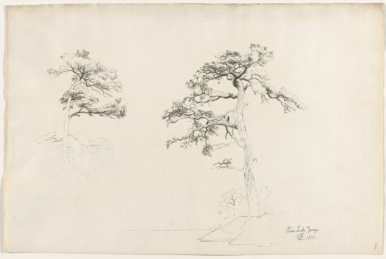 Pine, lago George, 1871. de David Johnson