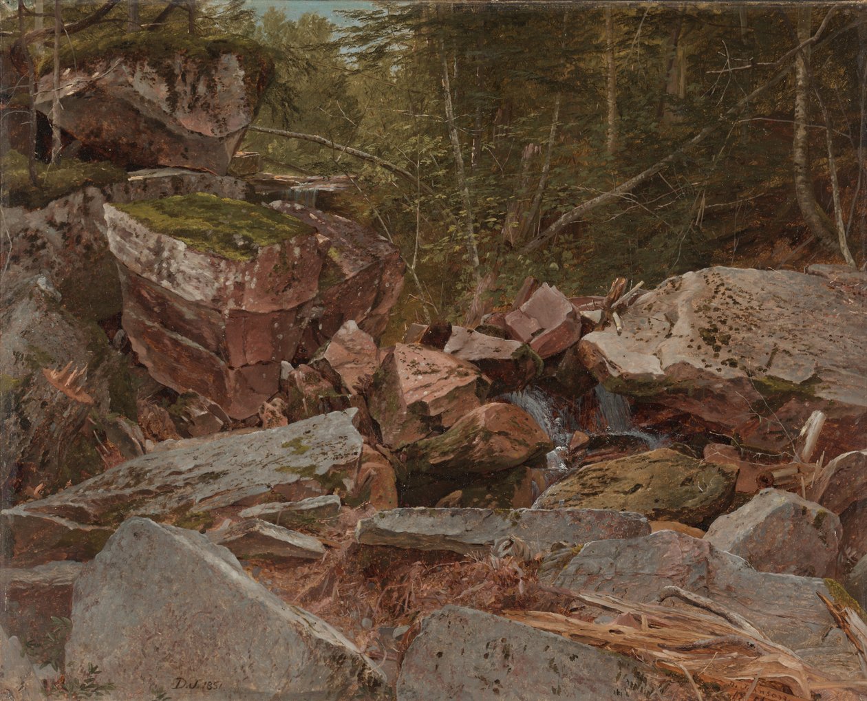 Estudo, North Conway, New Hampshire, 1851 de David Johnson