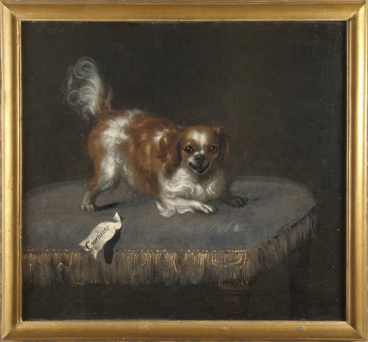 O cão Courtisane de David Klöcker Ehrenstrahl