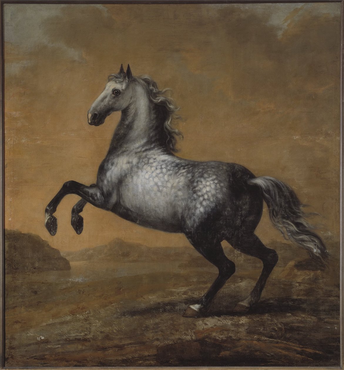 O cavalo de batalha de Carlos XI, O Pequeno Inglês de David Klöcker Ehrenstrahl