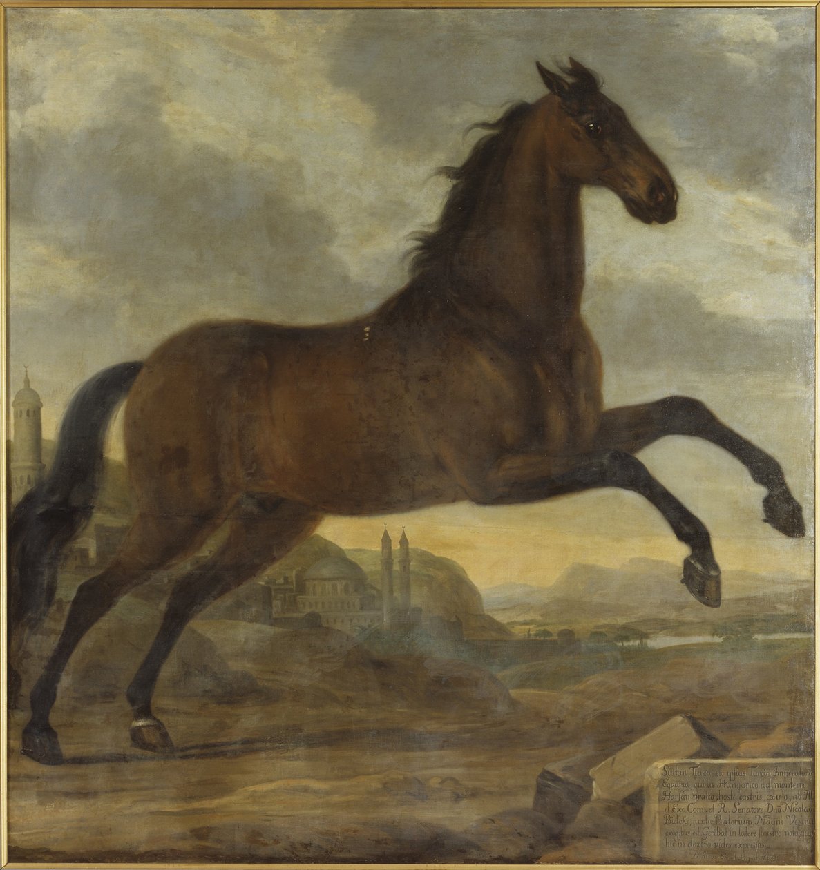 O cavalo de parada de Carlos XI, Sultan de David Klöcker Ehrenstrahl