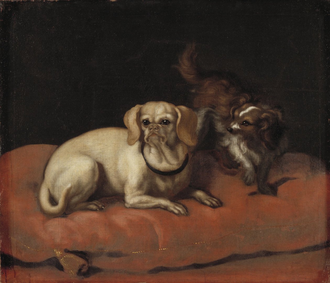 Dois cães de David Klöcker Ehrenstrahl