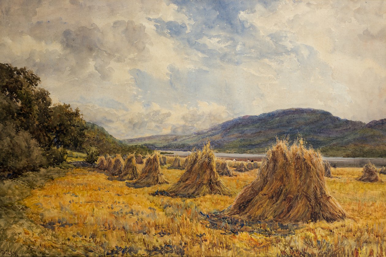 Lanrick Mead de David Law