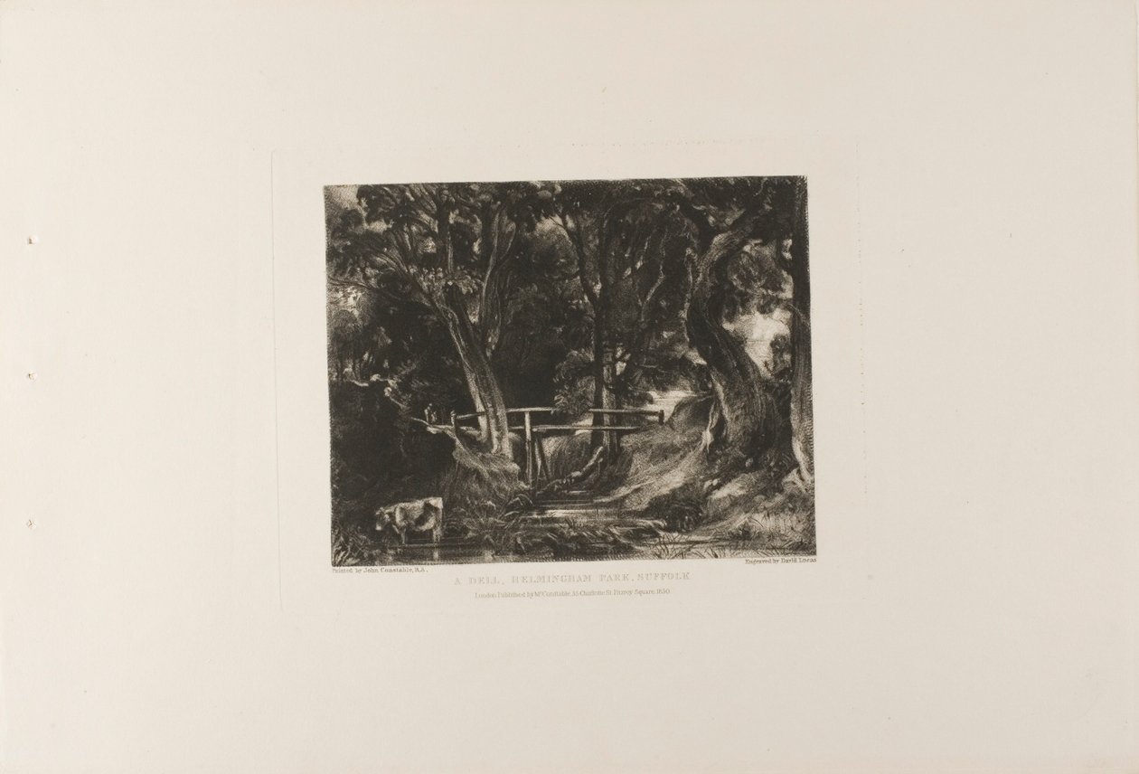A Dell, Helmingham Park, Suffolk de David Lucas