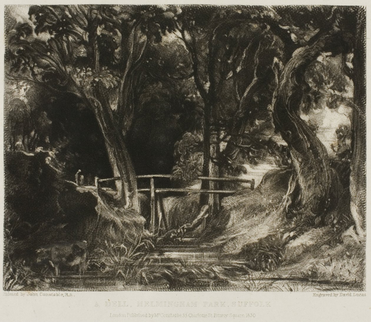 A Dell, Helmingham Park, Suffolk de David Lucas