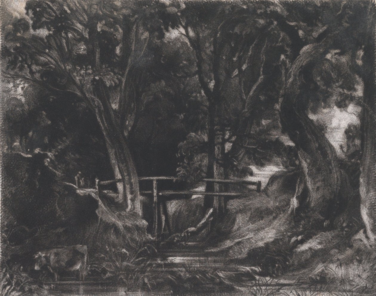 A Dell, Helmingham Park, Suffolk, 1830. de David Lucas