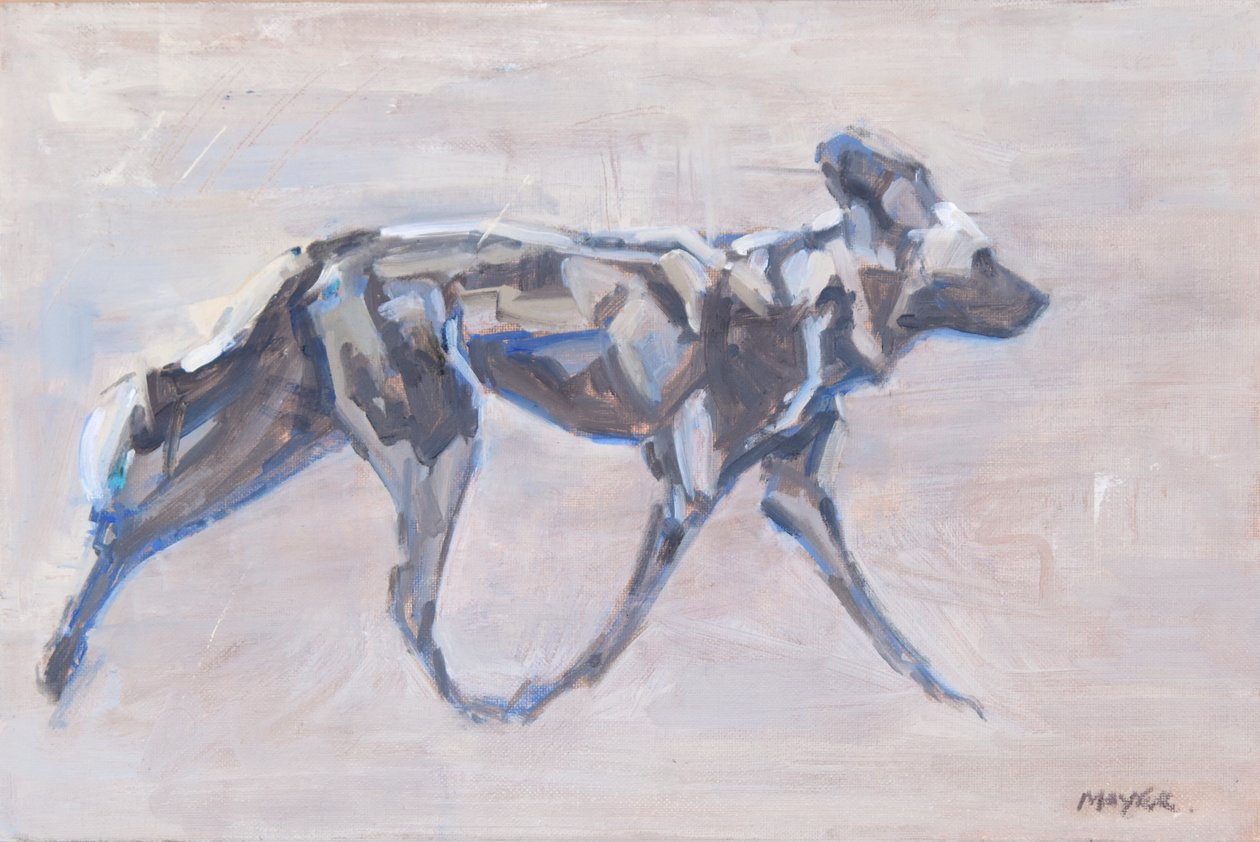 Cão pintado de África (cão selvagem), 2024 (óleo sobre tela) de David Mayer