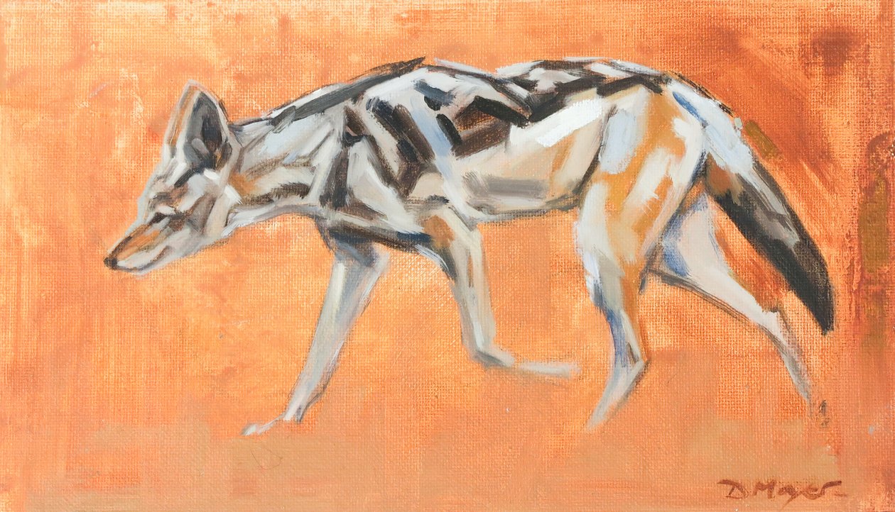 Chacal de dorso negro, 2021 (óleo sobre tela) de David Mayer