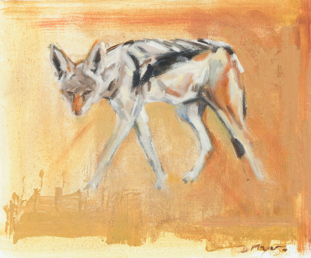 Chacal de dorso negro, 2021 (óleo sobre tela) de David Mayer