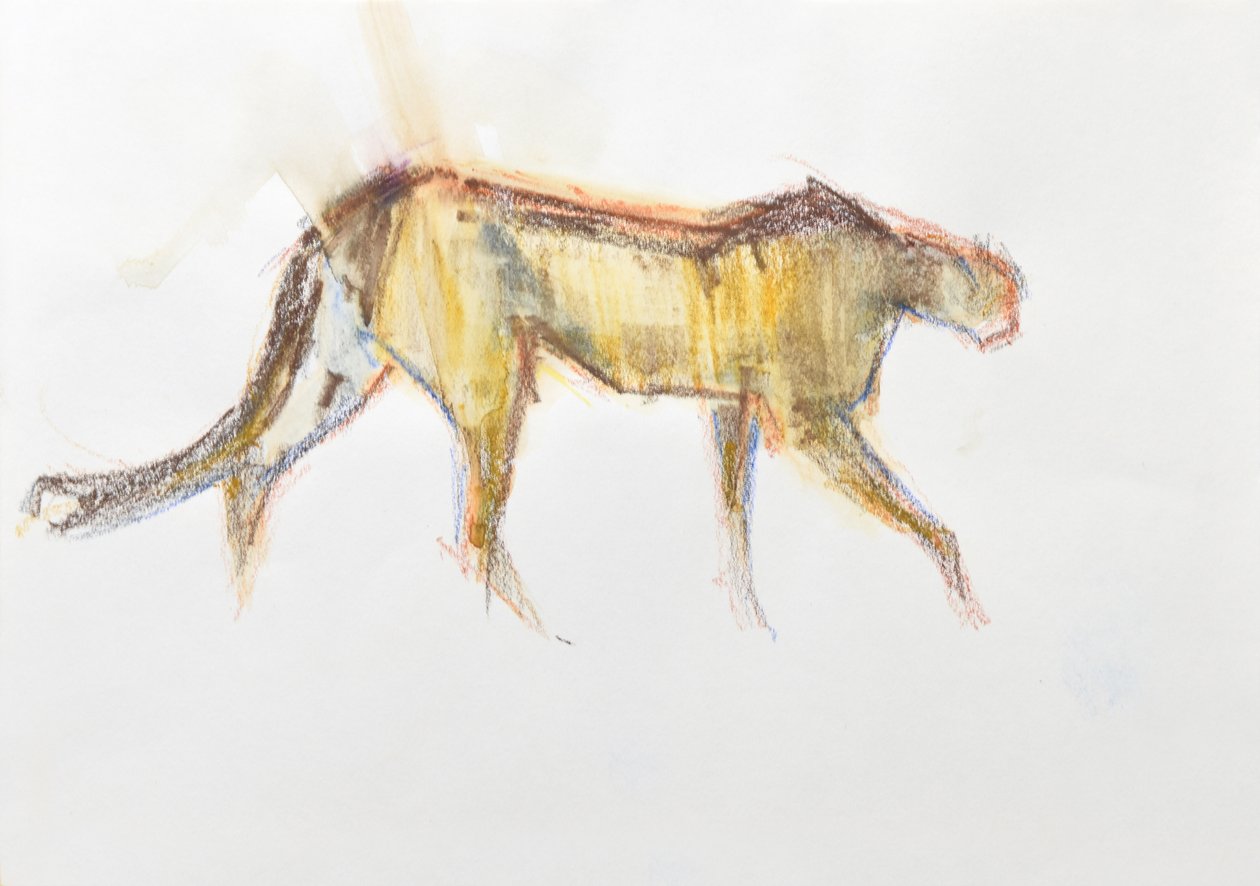 Chita, 2020 (giz de cera e aguarela sobre papel) de David Mayer