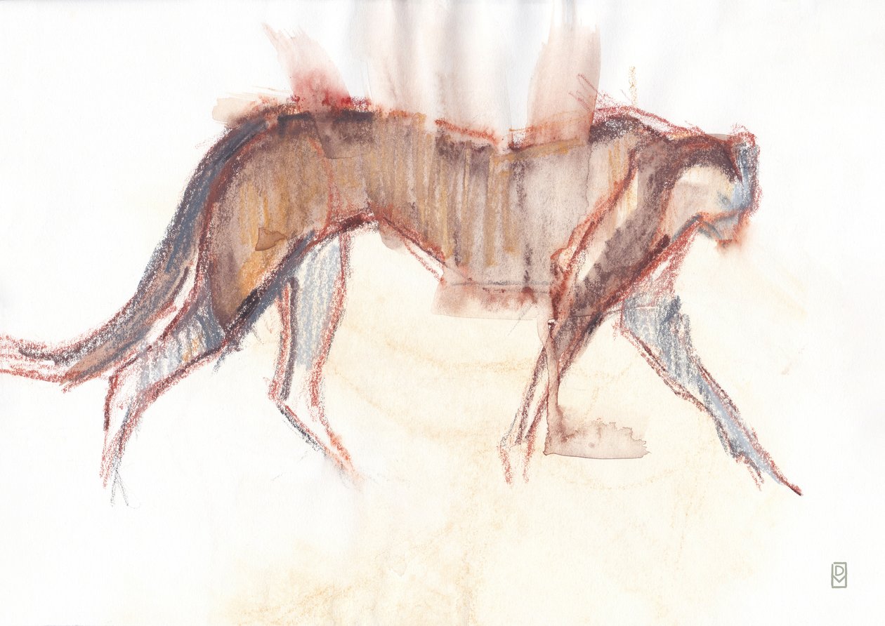 Caça à chita, 2019 (crayon/aquarela sobre papel) de David Mayer