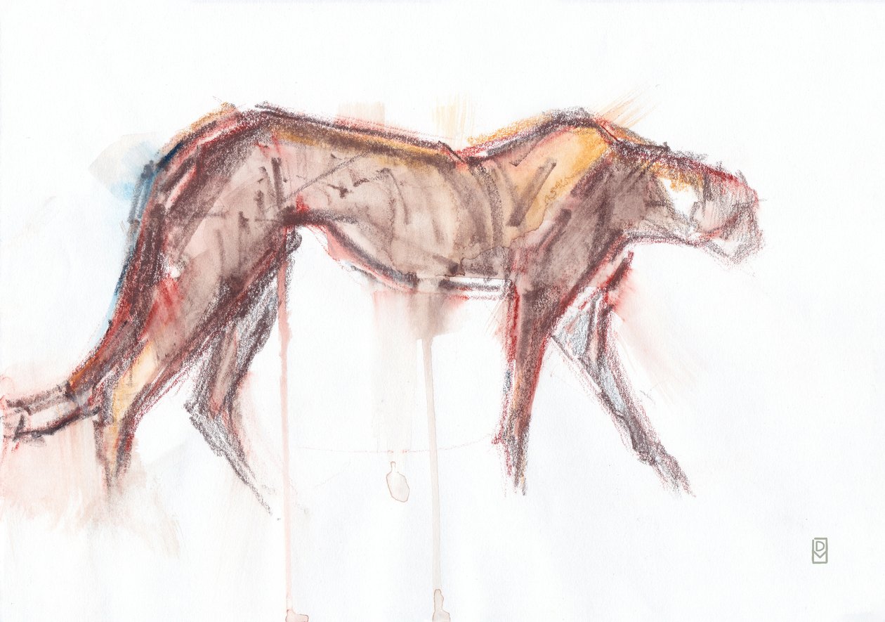 Caça às chitas, 2019 (crayon/watercolour sobre papel) de David Mayer