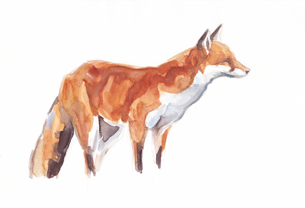 Fox, 2021 (lápis de cera e aguarela sobre papel) de David Mayer