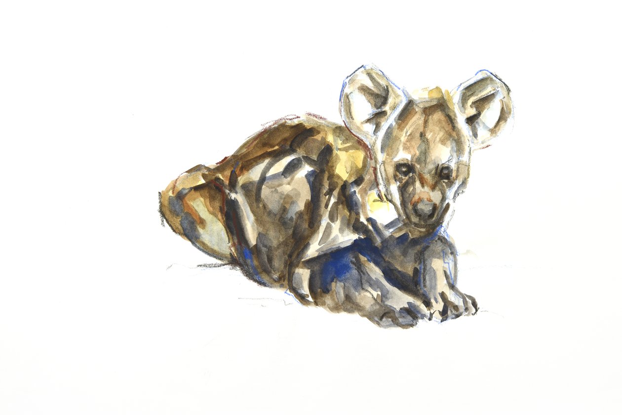 Hyena pup, 2020 (aguarela, lápis de cera e guache em papel) de David Mayer