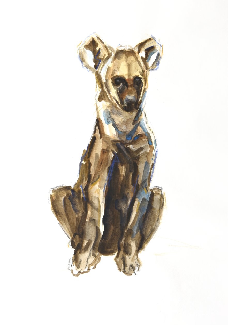 Hyena pup, 2020 (aguarela, lápis de cera e guache em papel) de David Mayer