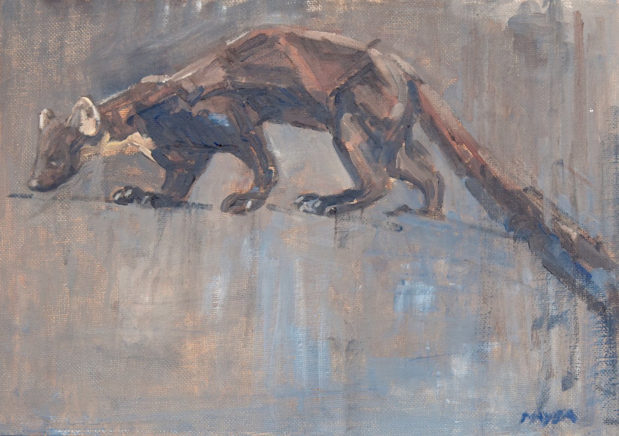 Pine Marten, 2023 (óleo sobre tela) de David Mayer
