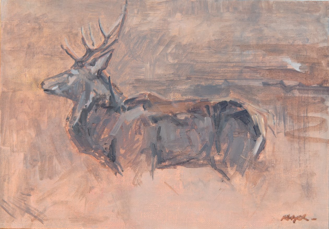 Veado-vermelho, 2023 (óleo sobre tela) de David Mayer
