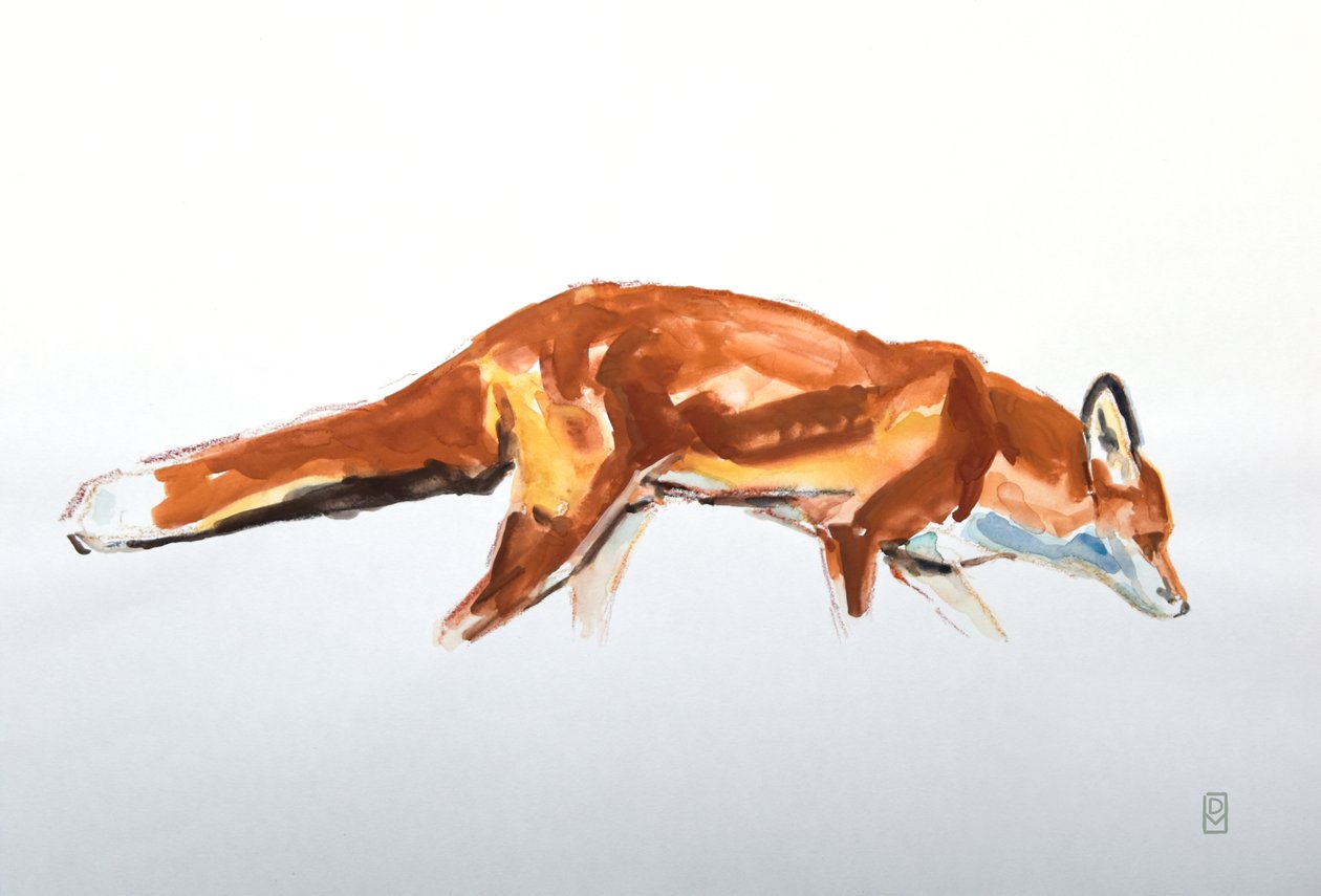Red Fox, 2020 (aquarela e giz de cera) de David Mayer