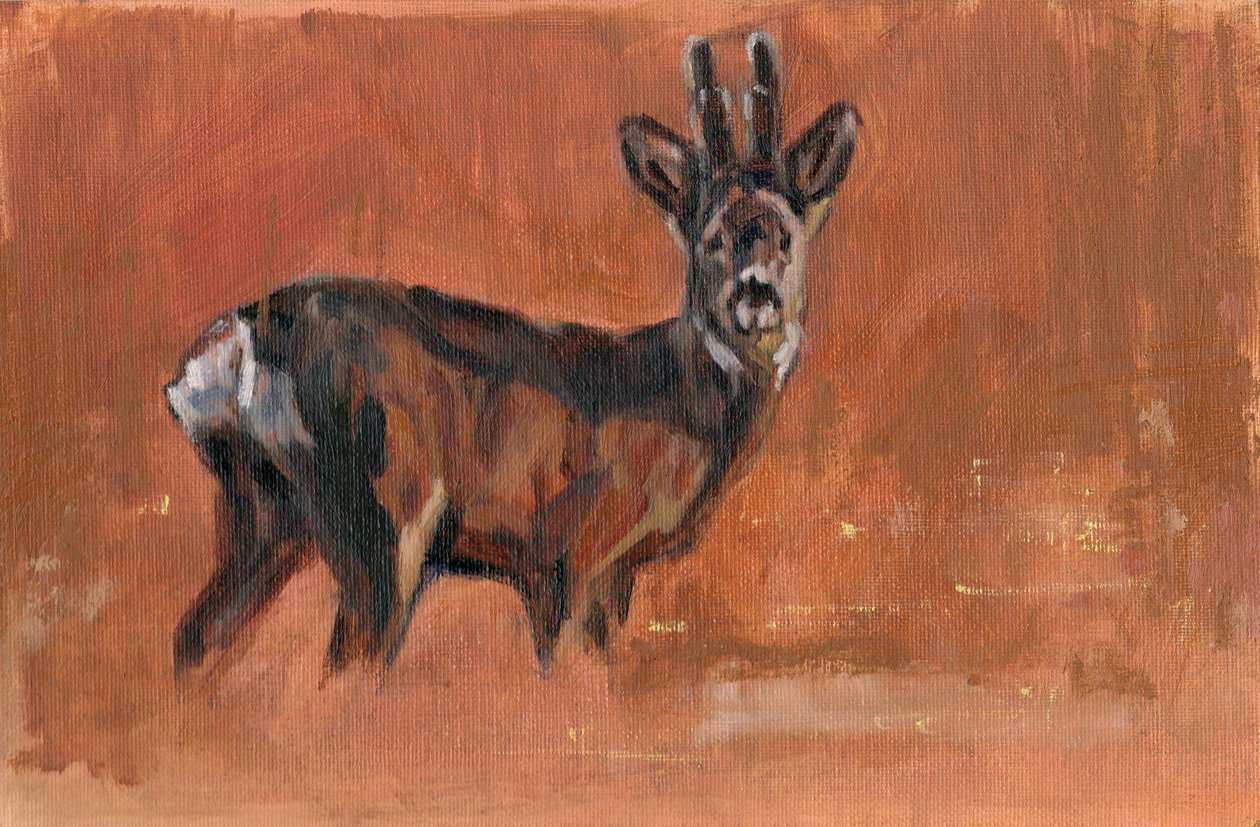 Roe Buck, 2021 de David Mayer