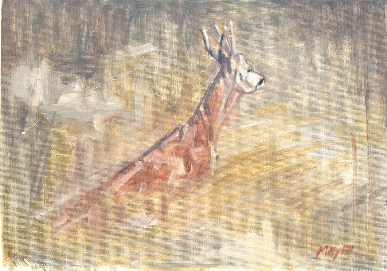 Roe Buck, 2023 (óleo sobre tela) de David Mayer