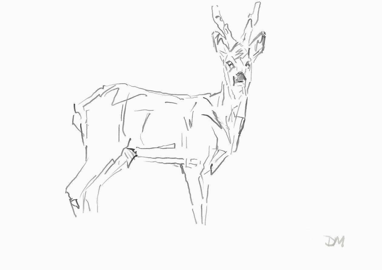 Roe Buck, 2024 (tinta com caneta de cana de bambu sobre papel) de David Mayer