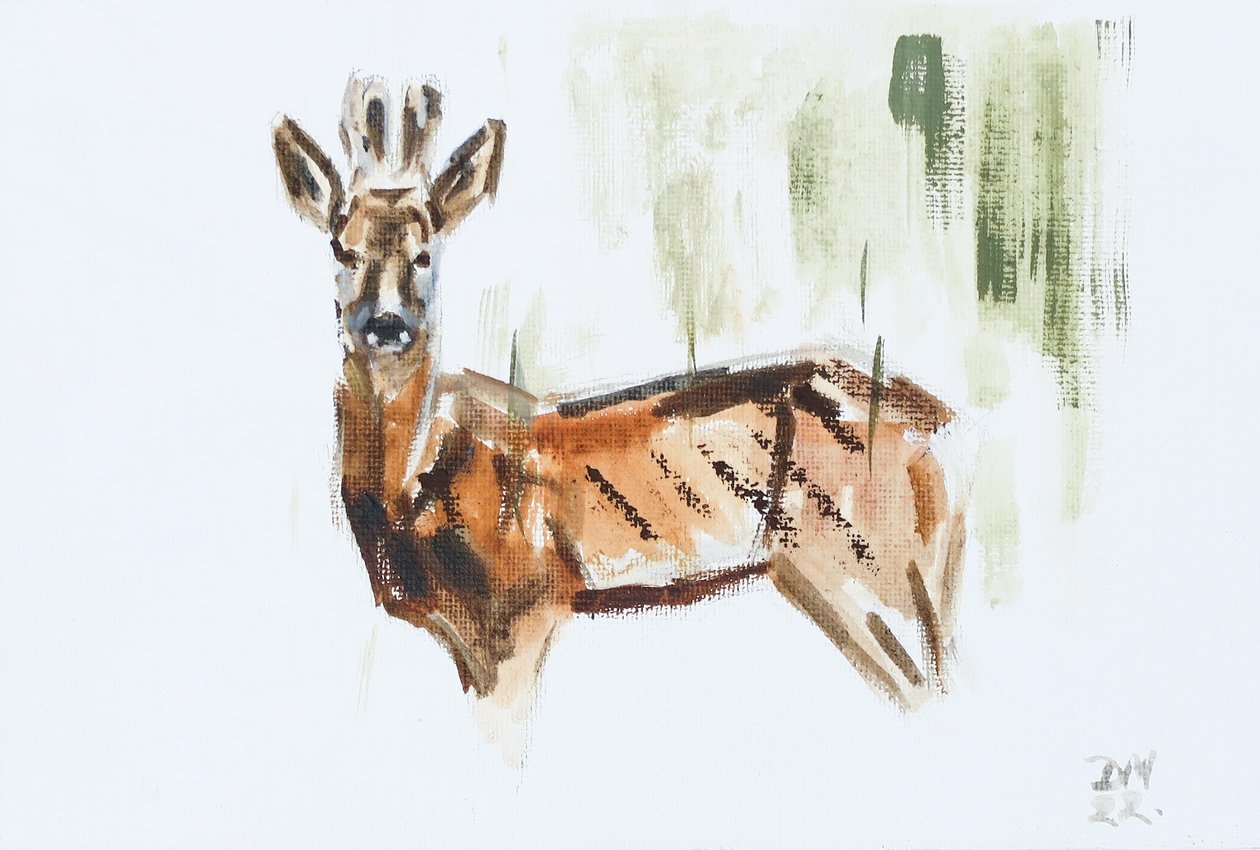 Veado (Buck), 2022 (óleo sobre tela) de David Mayer