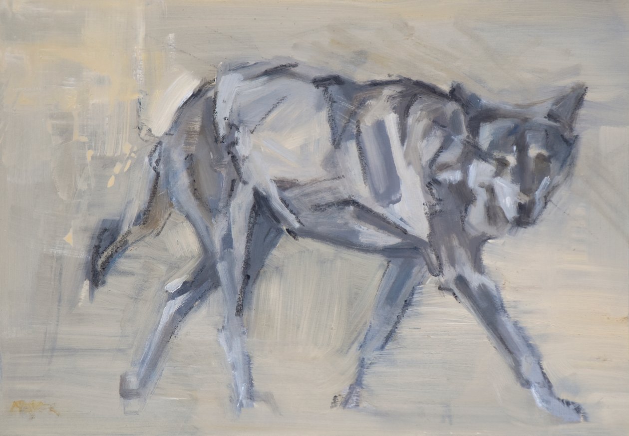 Wolf 11, 2023 (óleo sobre painel) de David Mayer