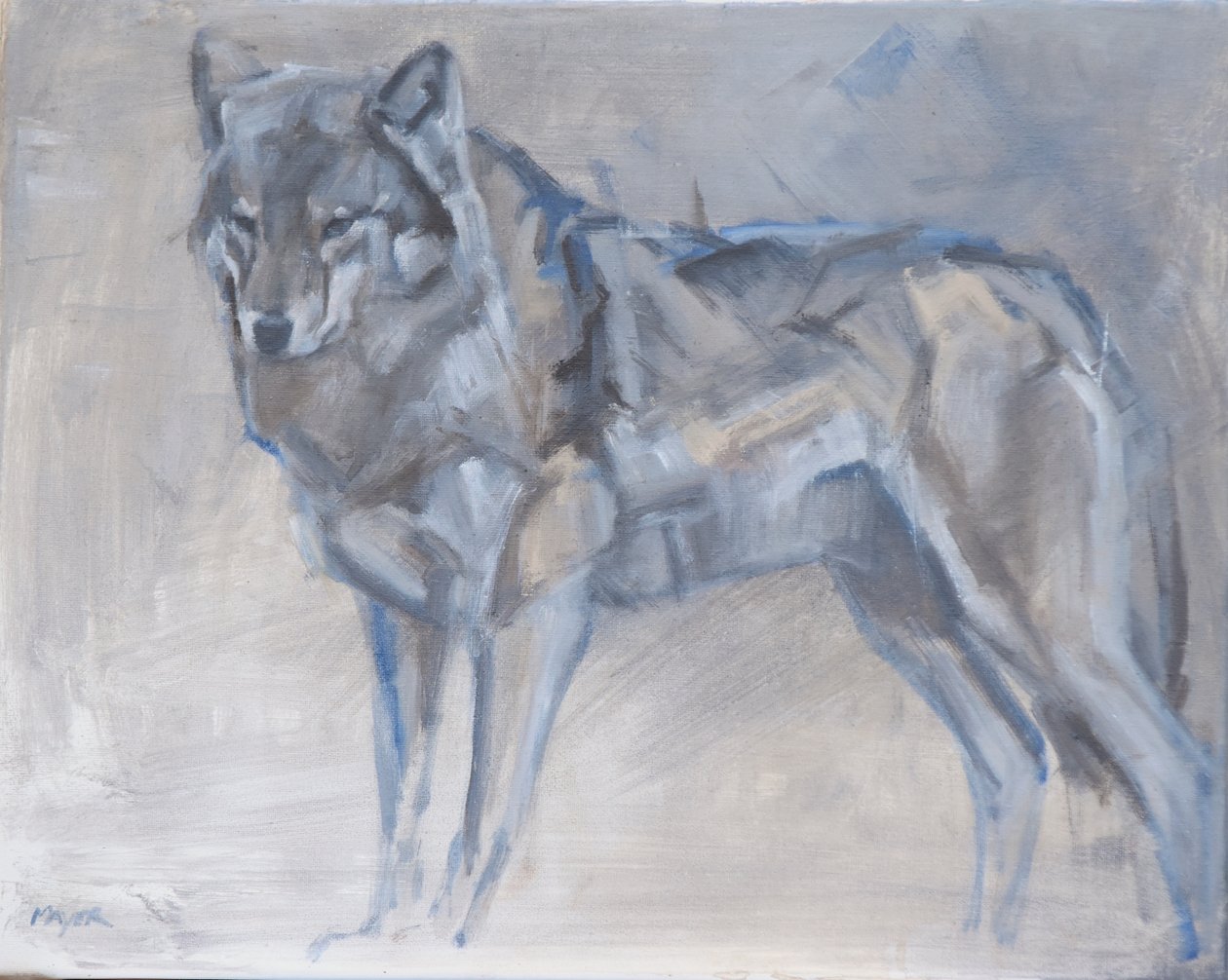 Wolf 1, 2023 (óleo sobre tela) de David Mayer