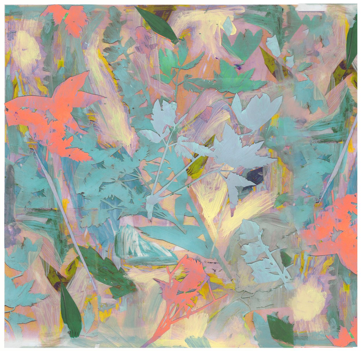 Colagem Botânica # 3, 2017 de David McConochie