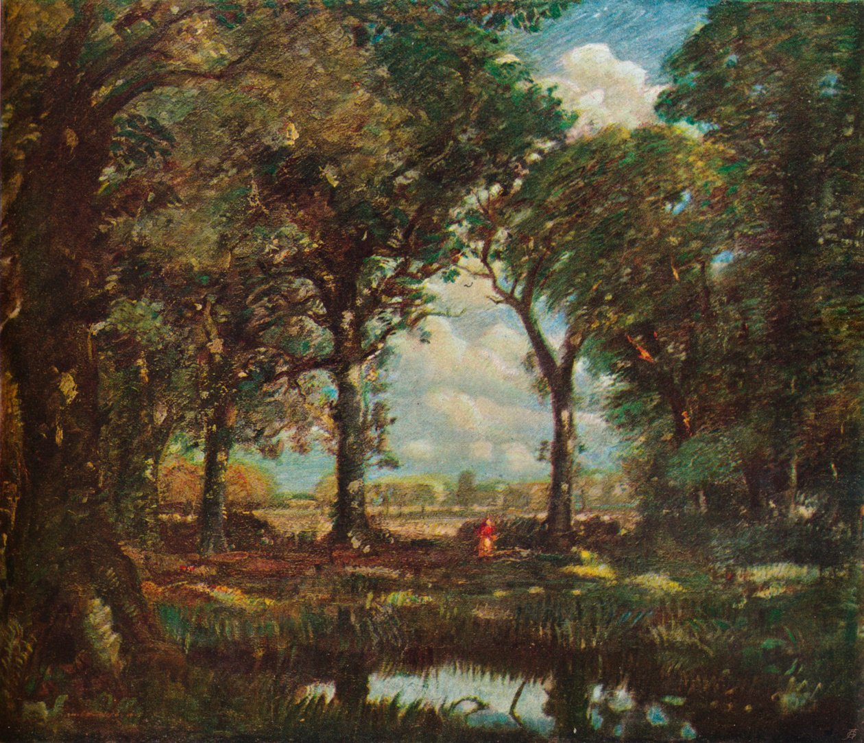 Uma piscina da floresta, c1905 de David Muirhead