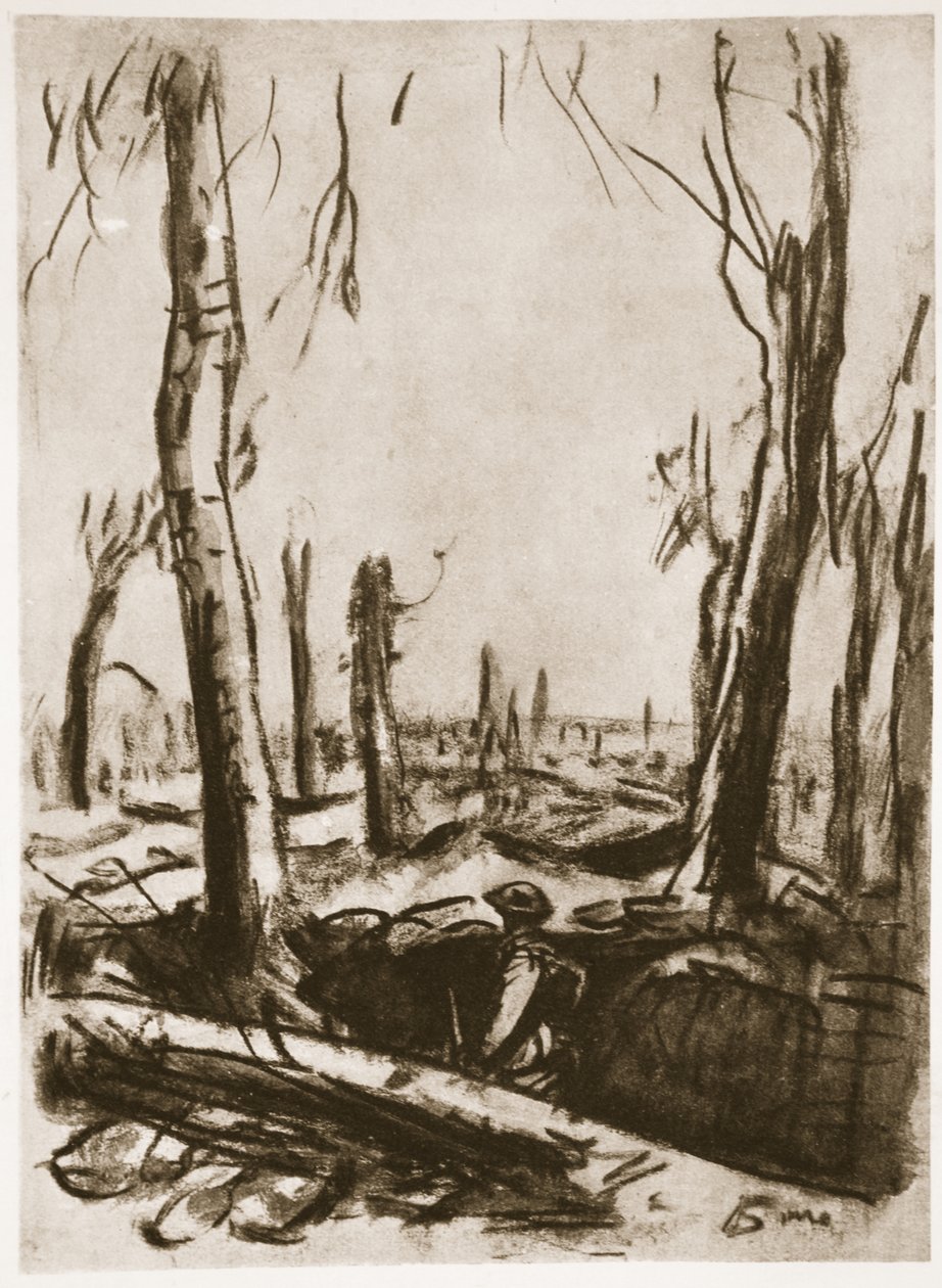 Trincheiras em ruínas no Bosque de Mametz, ilustração de "The Western Front", pub. by Country Life Ltd de David Muirhead Bone