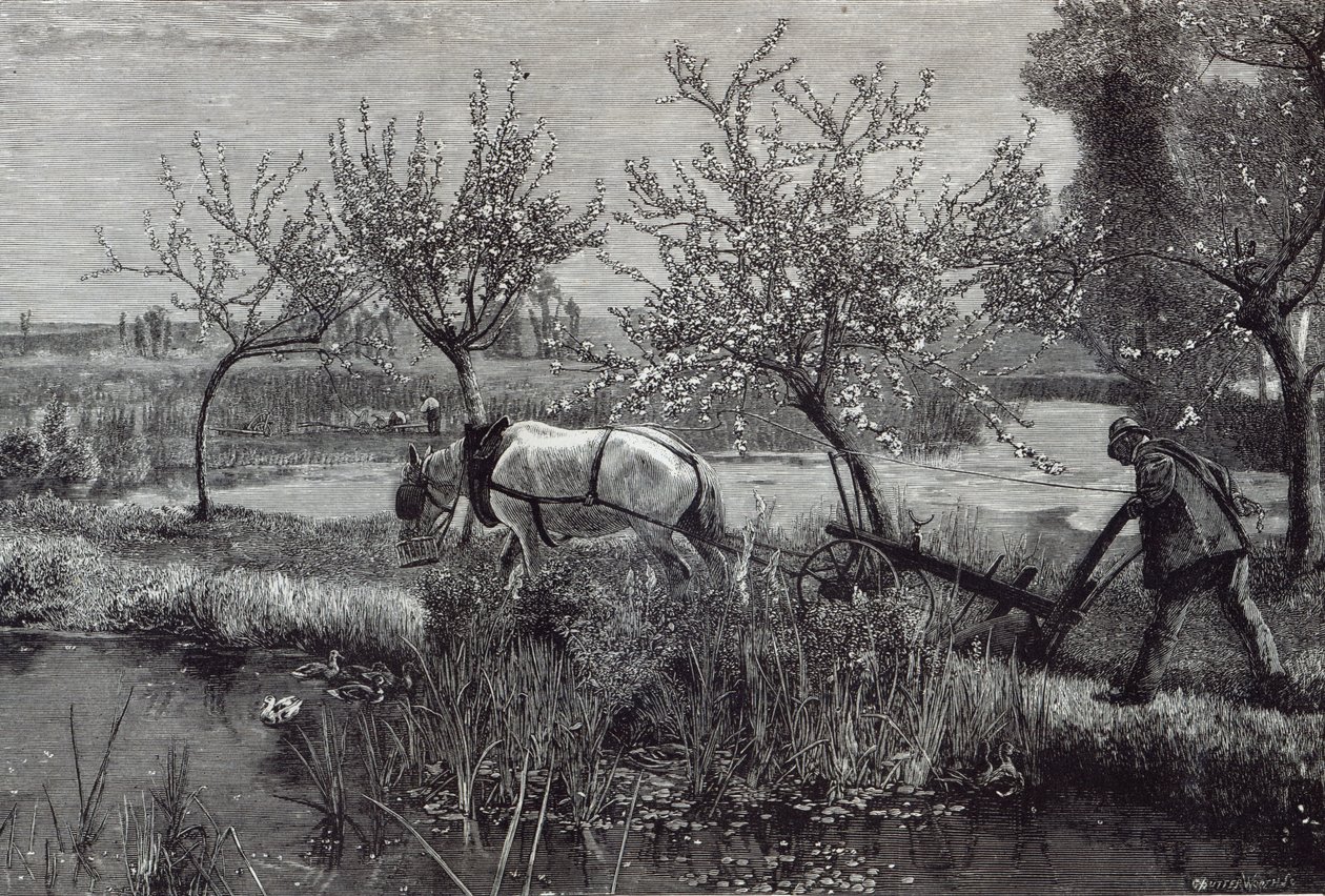 &39;Uma pequena fazenda bem cultivada&39;, Picardia, de &39;Leisure Hour&39;, 1888 de David Murray
