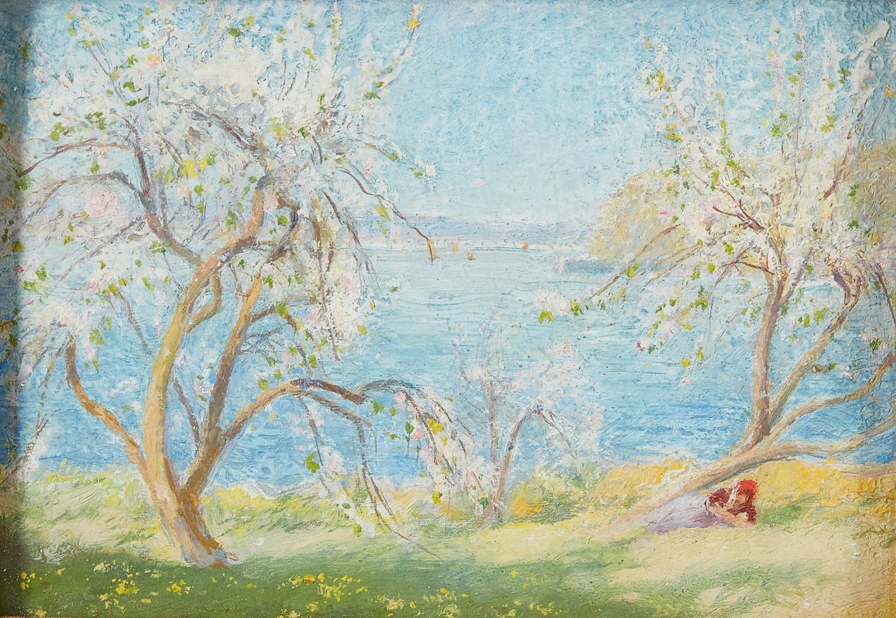 Spring Sunshine (óleo a bordo) de David Murray