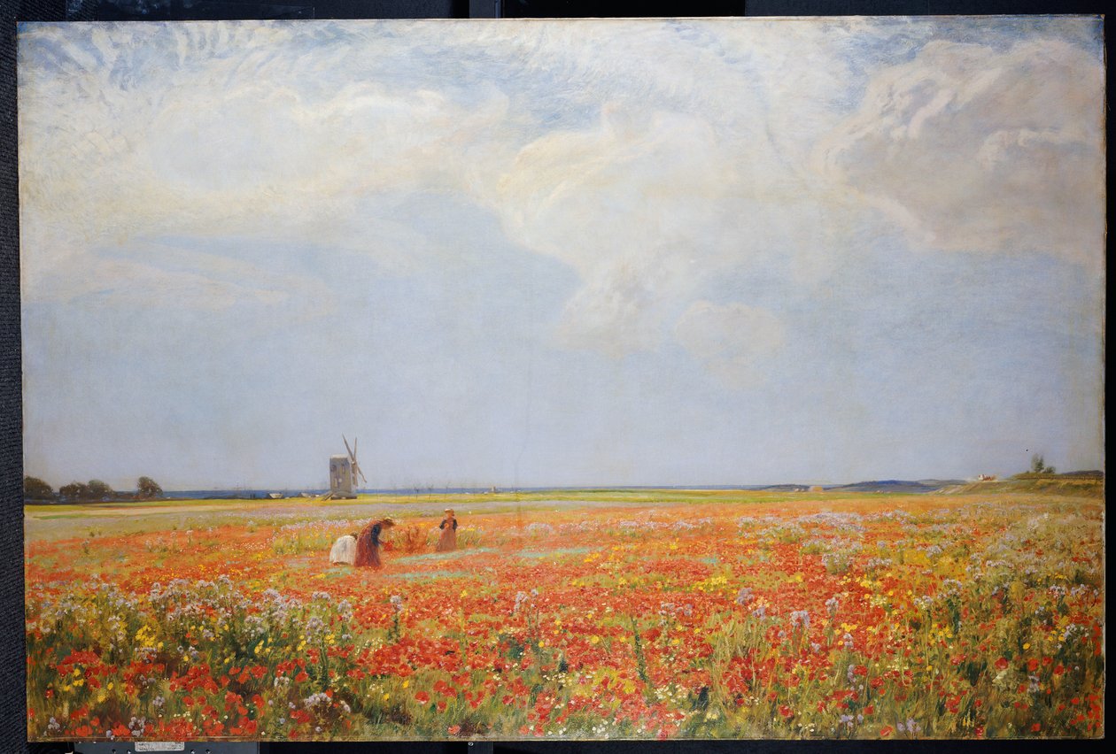 Os Selecionadores de Flores de David Murray