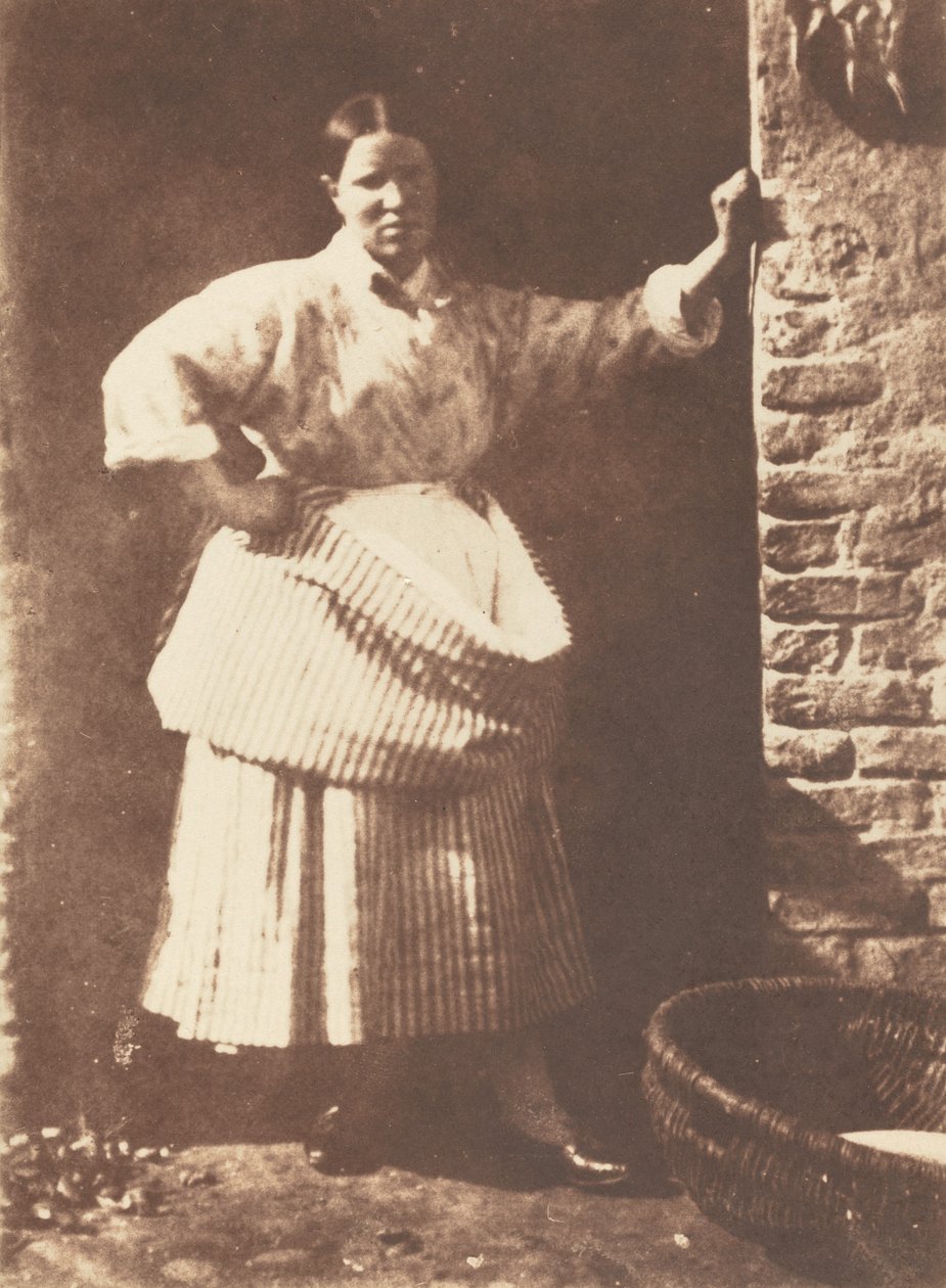 Floresta. de David Octavius Hill, Robert Adamson