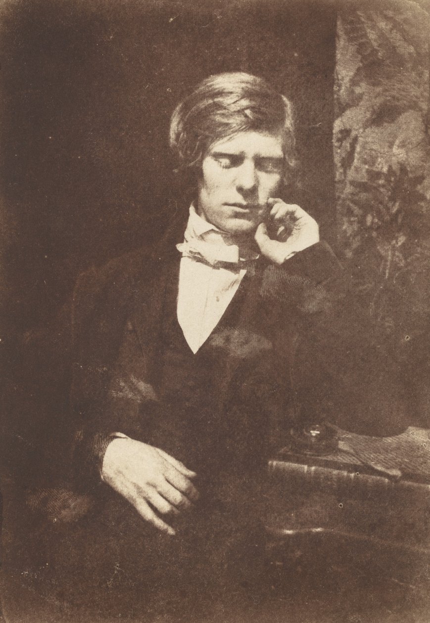 Floresta. de David Octavius Hill, Robert Adamson