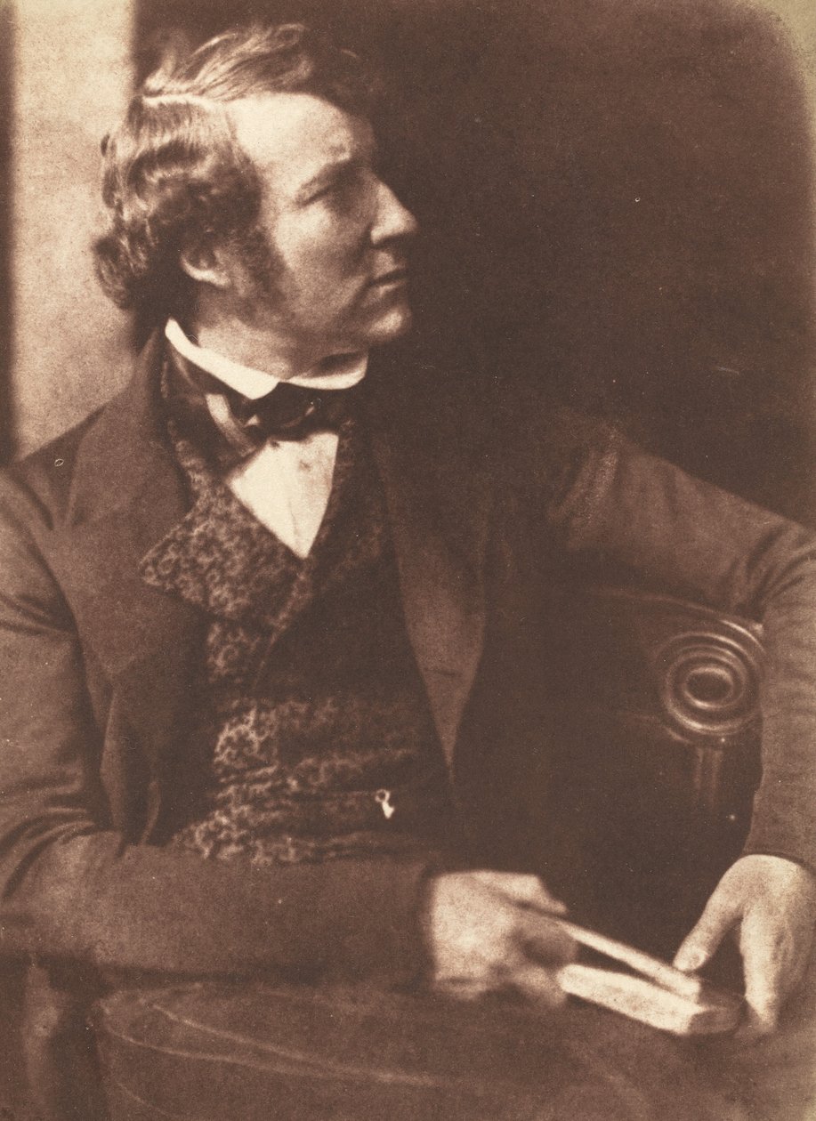 Floresta. de David Octavius Hill, Robert Adamson